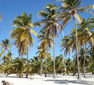 Exklusiver Privat Strand