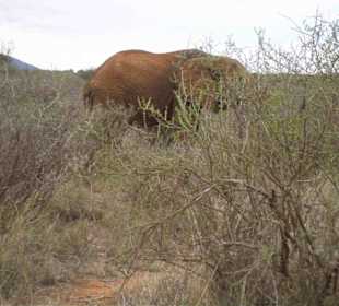 ein bisschen versteckt