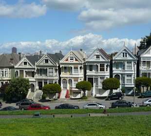 Painted Ladies