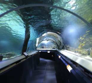 Tunnel unter dem Wasser