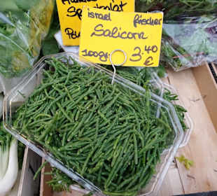 Rundgang durch die Markthalle am Carlsplatz