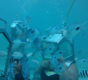 Unterwasserspaziergang