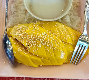 Gastro