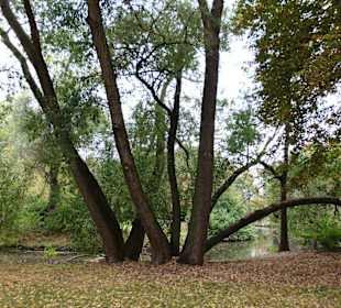 Inselwallpark im Sommer
