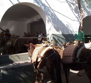 Eselparkplatz in Lindos
