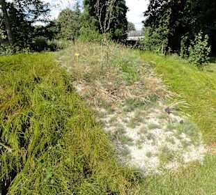 Rundgang durch den Botanischen Garten Oldenburg