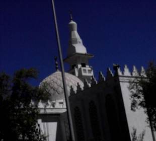 Hurghada und El Gouna