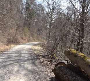 Geologischer Lehrpfad Kirnbachtal