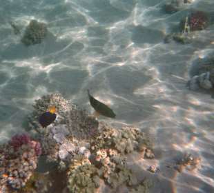 Unterwassereindrücke