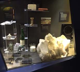 Staatliches Naturkunde Museum