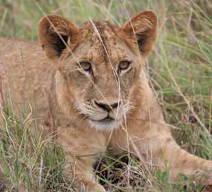 Tsavo West