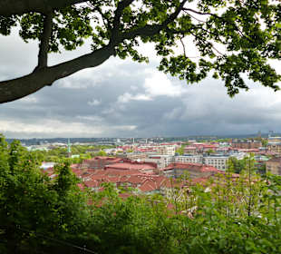 Widok 