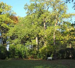 Herbstspaziergang durch den Schlosspark Lütetsburg