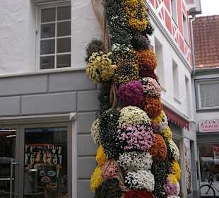 Häuserschmuck