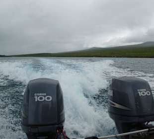 Mit voll Power zurück