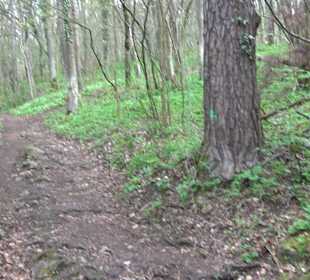 Wanderung rund um das Rusenschloss Gerhausen