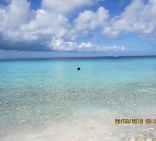 Schönes Wasser zum Baden und schnorcheln