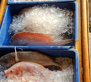 Frischer Fisch im Restaurant nebenan