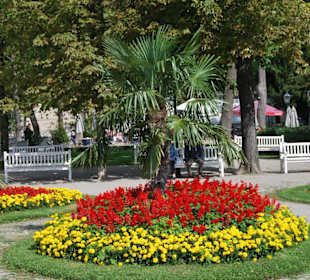 Park