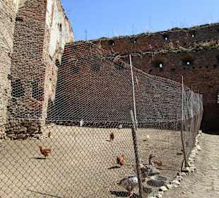 Burg Slimnic/Stolzenburg