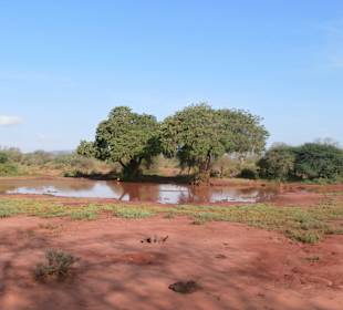 Wünderschöne Landschaft