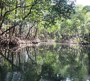 Nationalpark Los Haitises