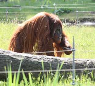ZOOM Erlebniswelt Gelsenkirchen