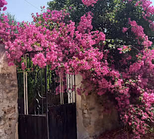 Rundreise Peloponnes