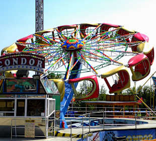 Condor