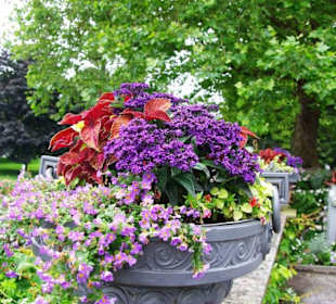 Sagt man nichts mehr oder