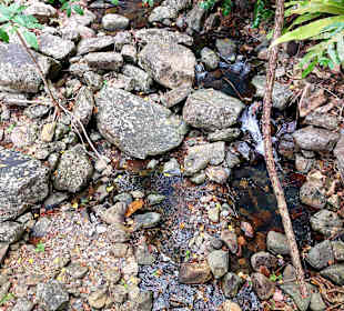 Parque Natural Obô do Príncipe