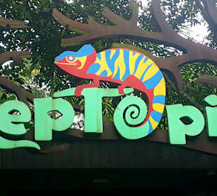 Singapur Zoo