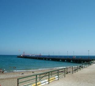 Anamur