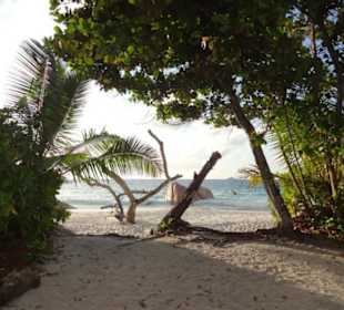 Anse Lazio