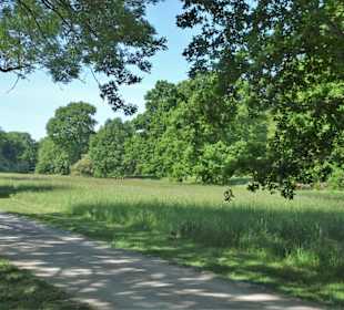 Rundgang durch den Hinüberscher Garten
