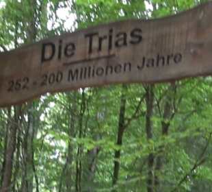 Dinosaurier Museum Altmühltal