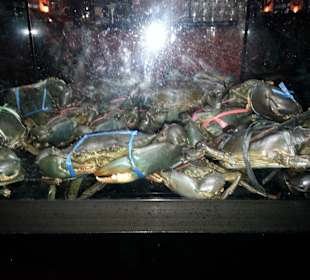 Auslagen der Restarants