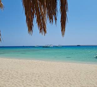 Giftun / Mahmya Inseln