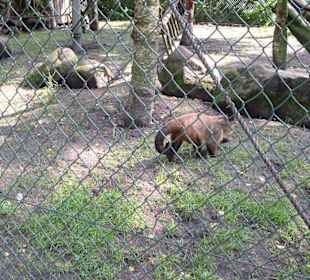 Freizeitpark