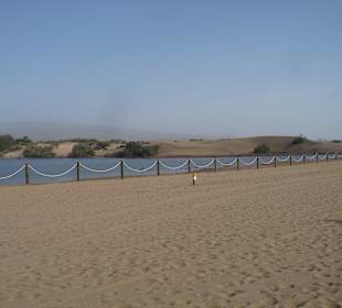 Dünen von Maspalomas