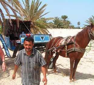 Kutschfahrt zur Krokodilfarm