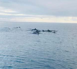 Mauritius Deutschsprachige Touren