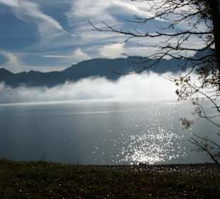 Wenn sich der Nebel lichtet...