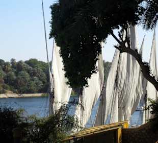 Felluken auf dem Nil...