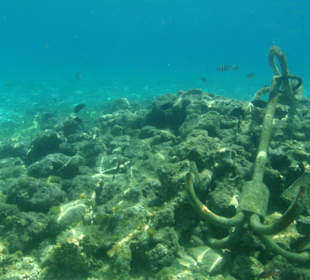 Wer sucht der findet - am 	Hotel Le Pacha Beach Resort