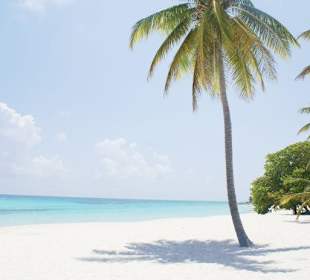 kurzer Einblick- Isla SAONA