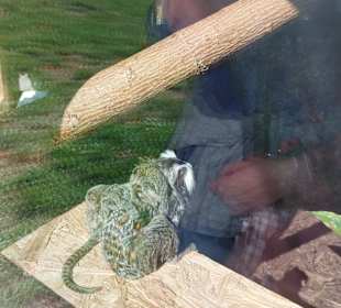 Wildpark Osterzgebirge