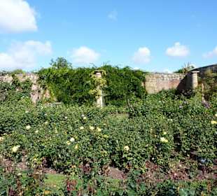 Der Rosengarten