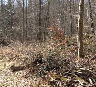 Historischer Rundwanderweg Aichtal