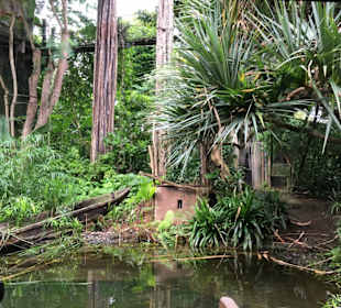 Gondwanaland